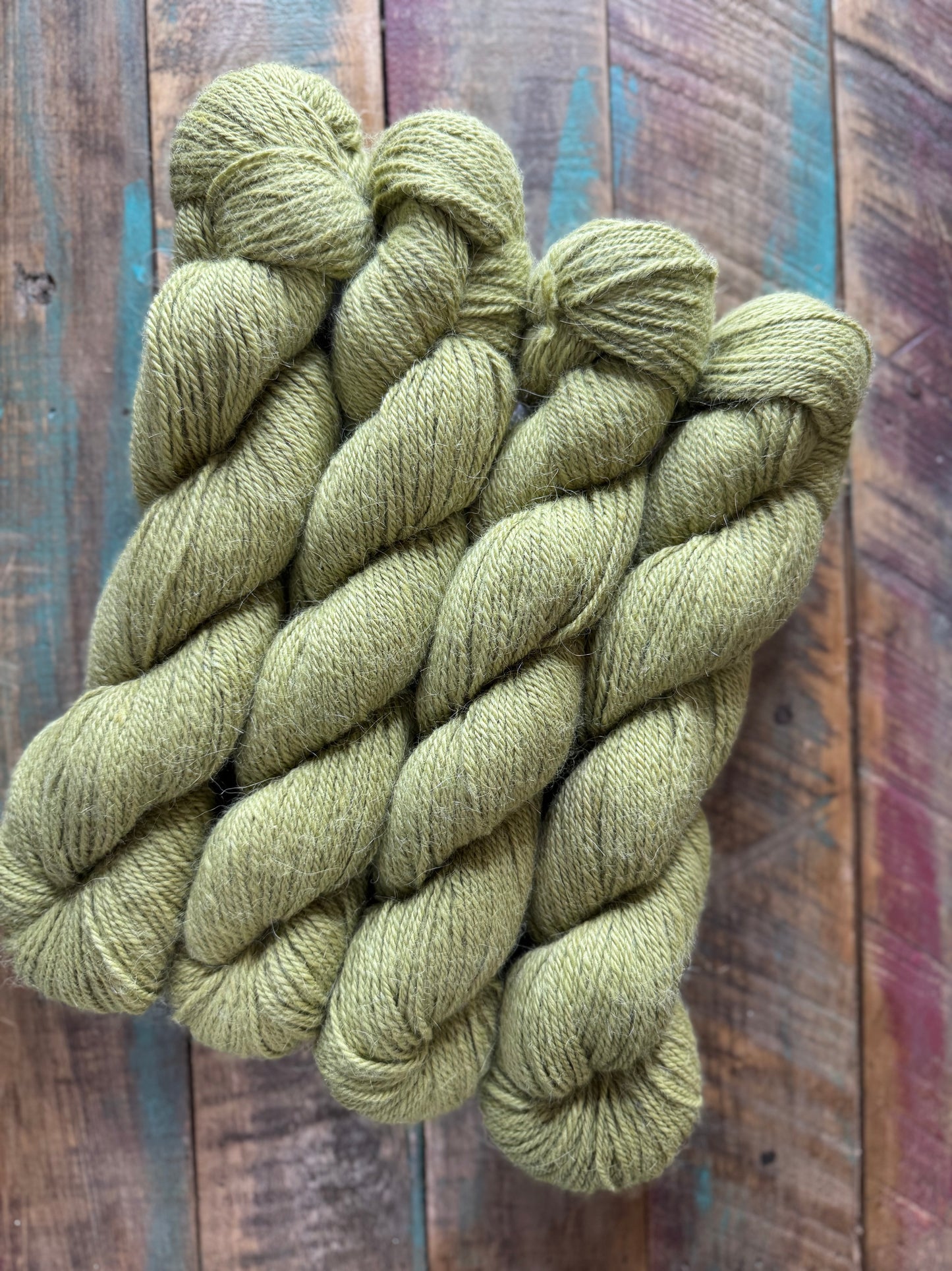 Sport Huacaya Suri Alpaca