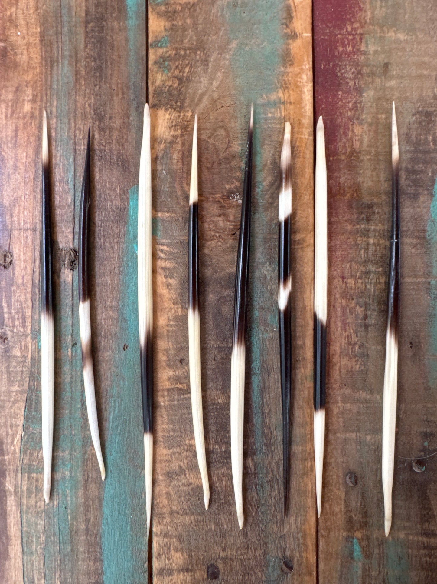Porcupine Quills
