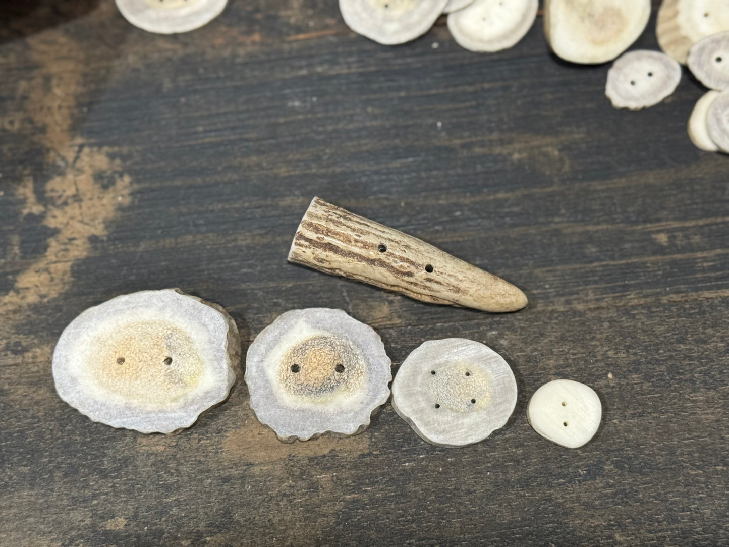 Deer Antler Buttons
