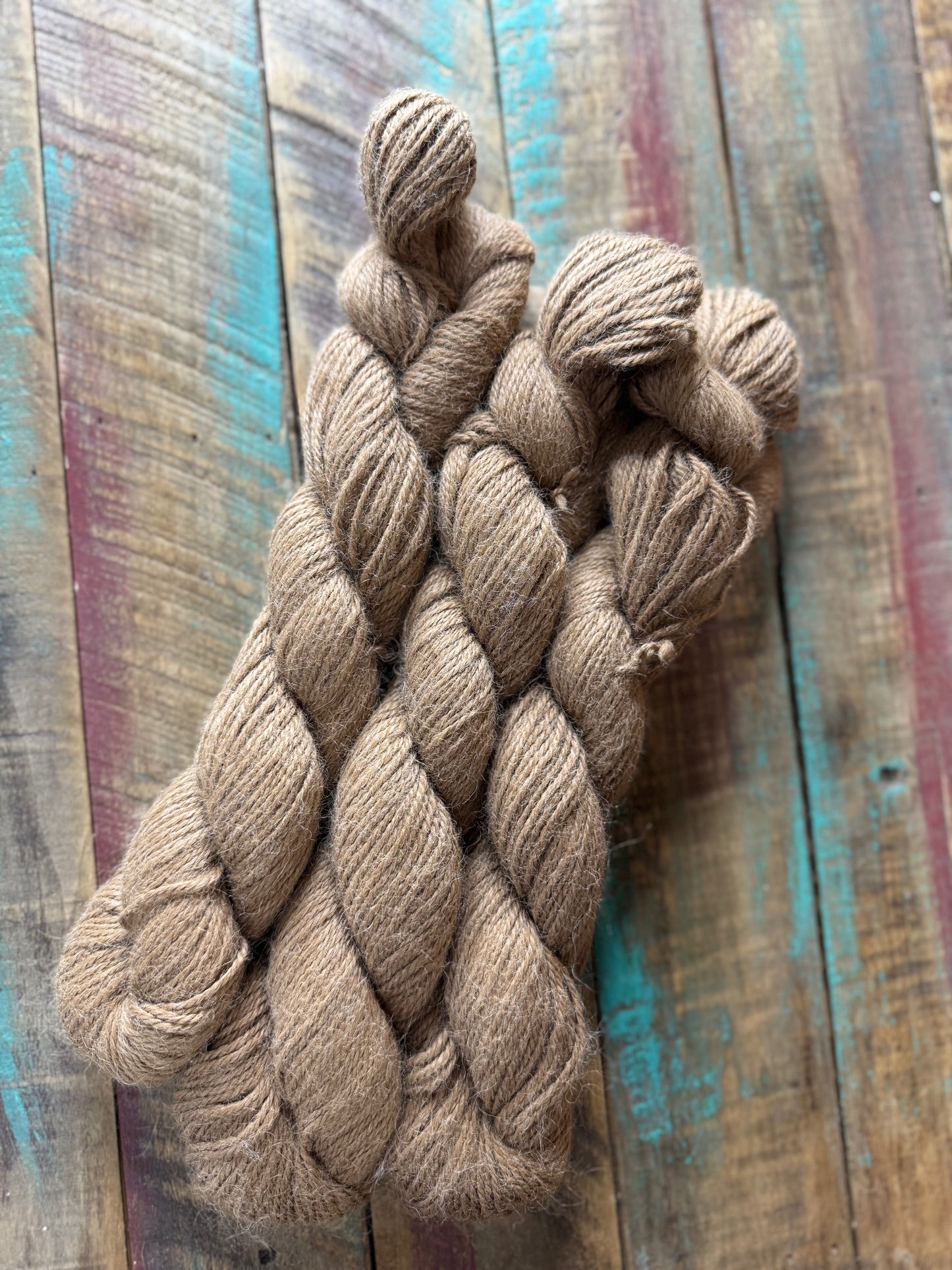 Sport Huacaya Suri Alpaca