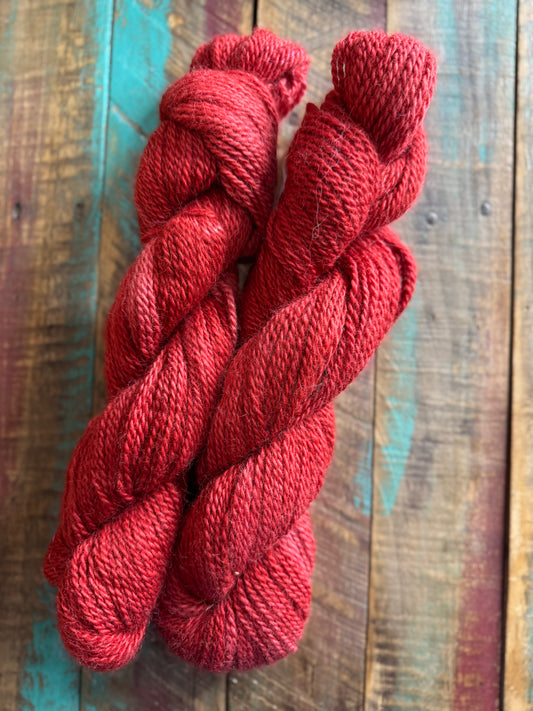 DK Alpaca-Cardinal