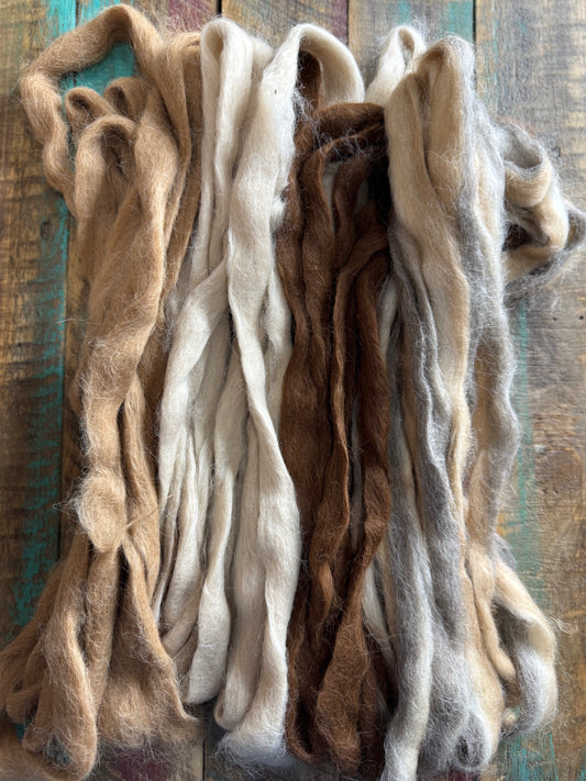 Suri Alpaca Roving-Assorted