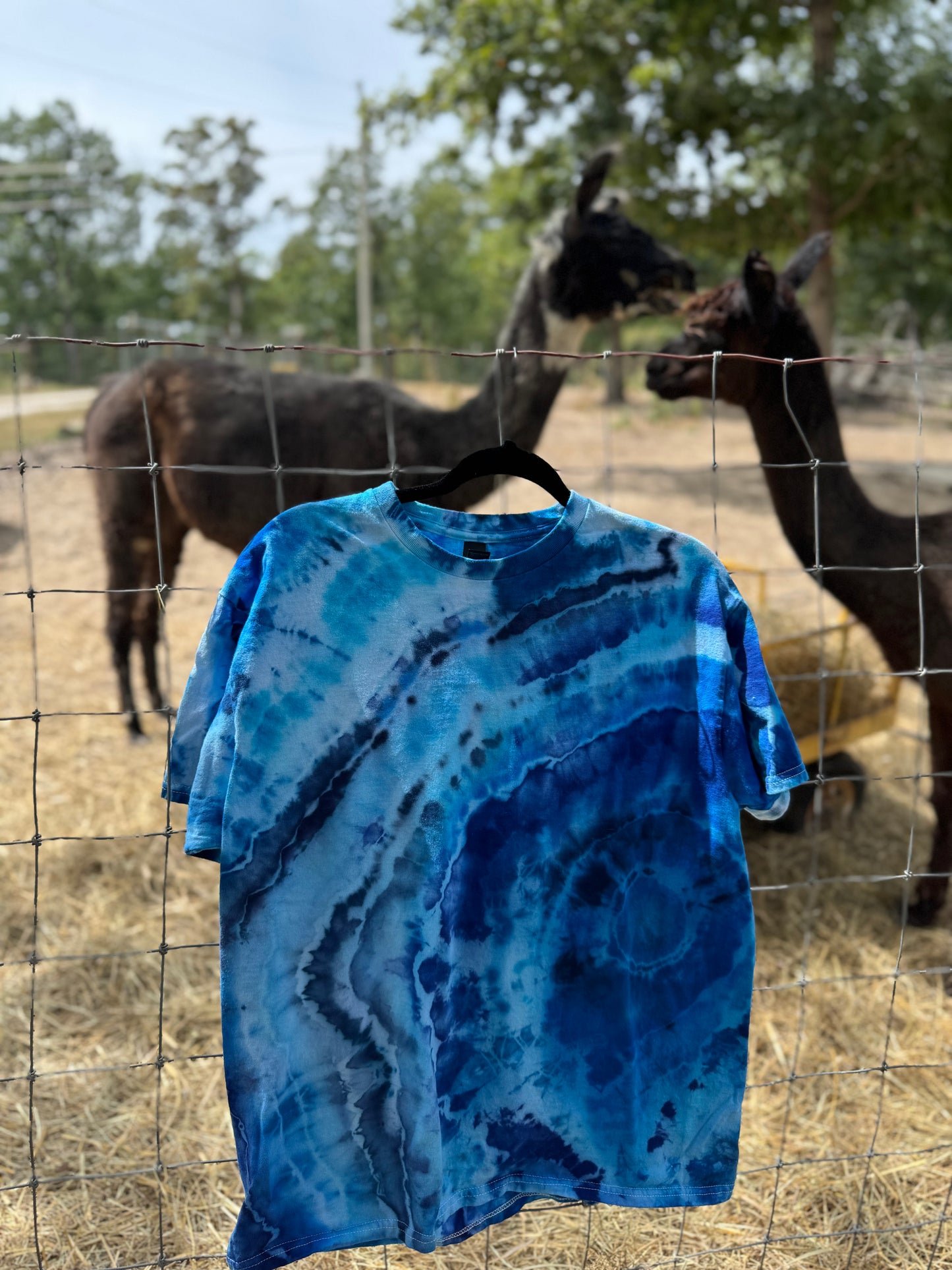 Geode TShirt
