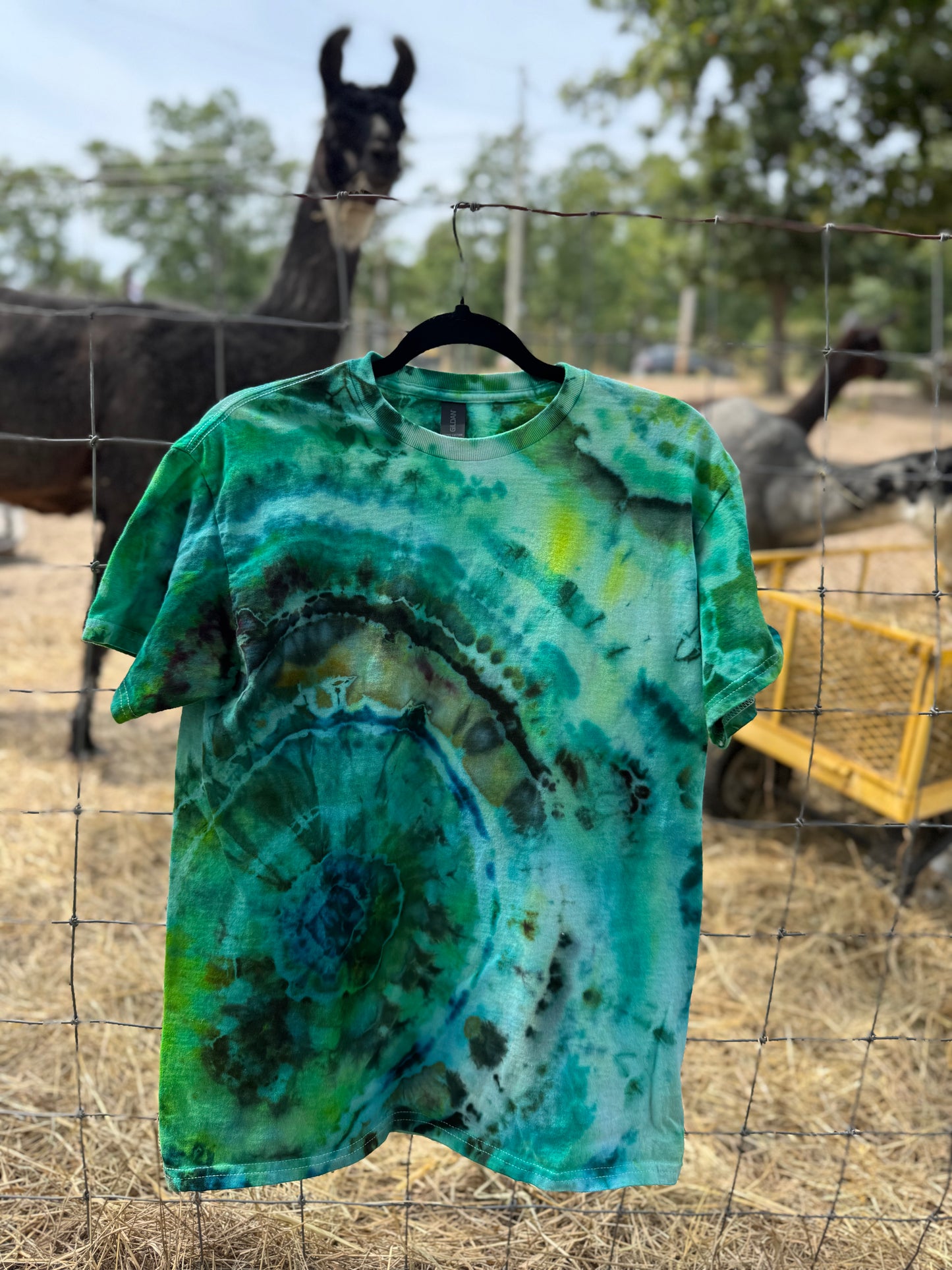 Geode TShirt