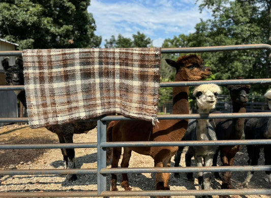 Hand Woven Alpaca Baby Blanket-Traditional Plaid