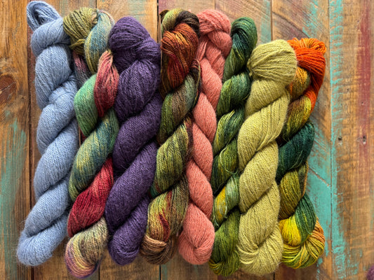 Sport Huacaya Suri Alpaca