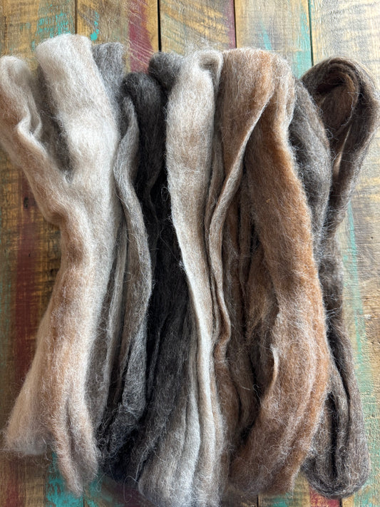 Huacaya Alpaca Roving-Variegated