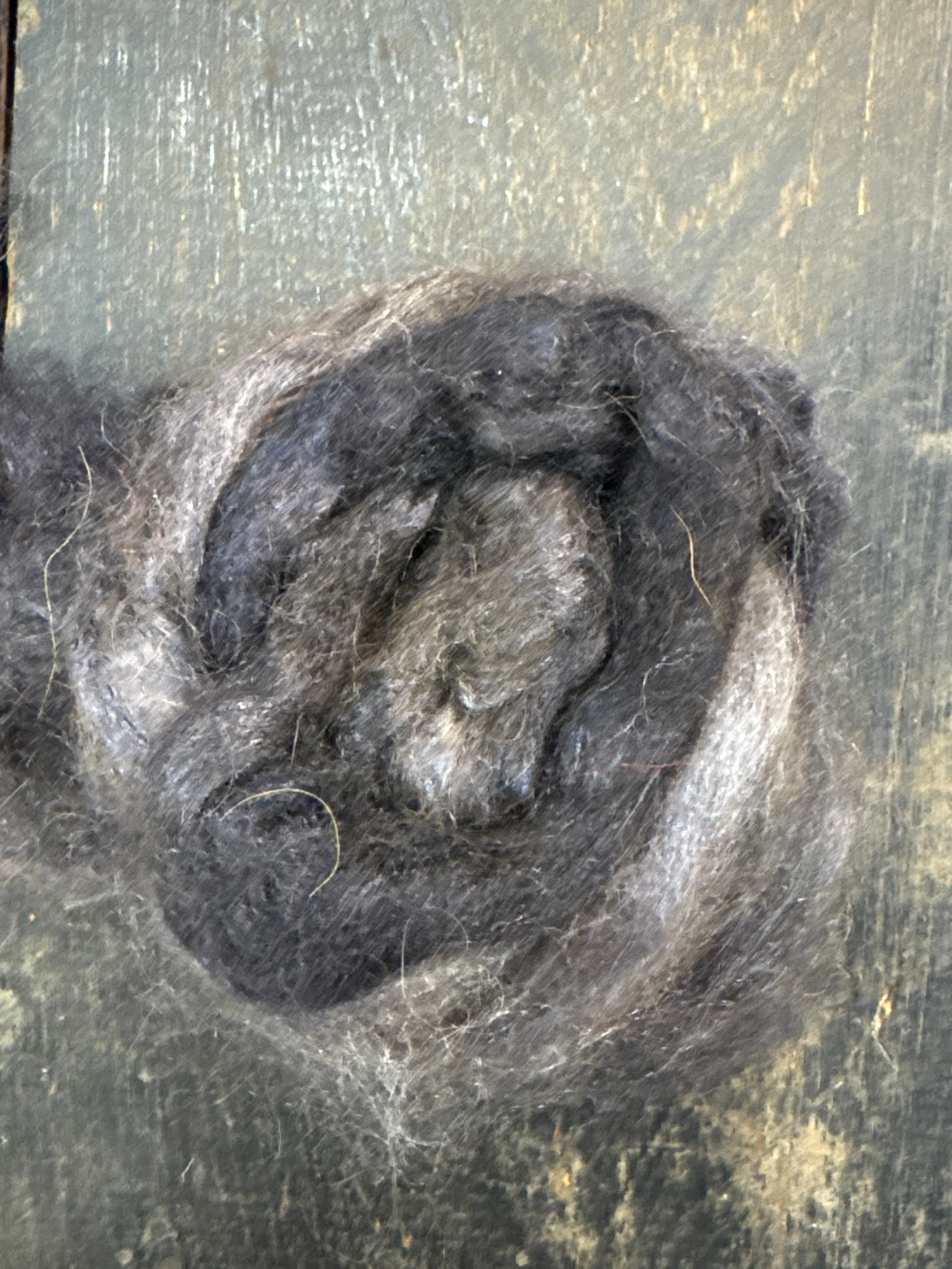 COMBED TOP ALPACA TUSSAH SILK