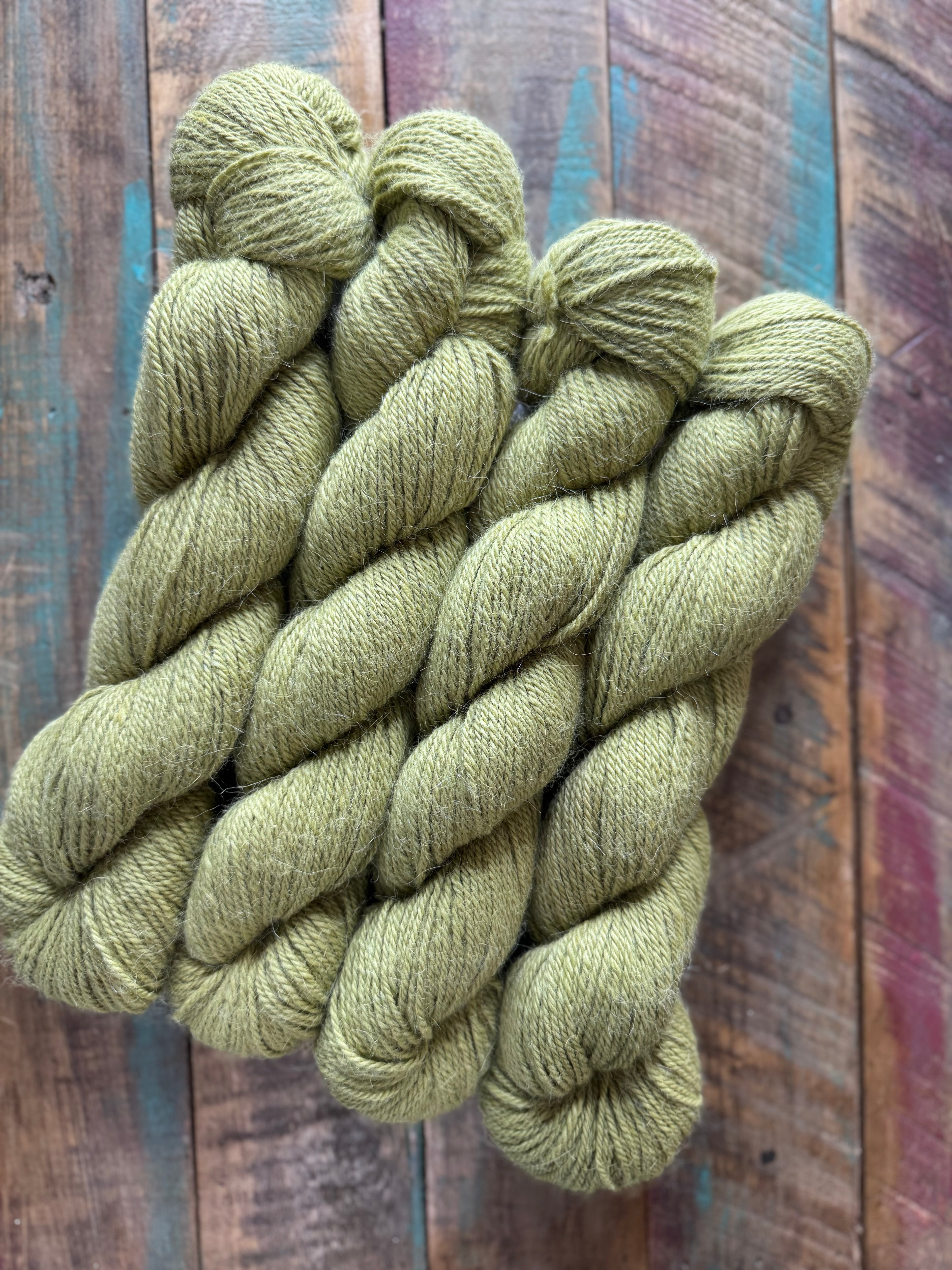 Sport Huacaya Suri Alpaca