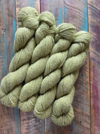 Sport Huacaya Suri Alpaca