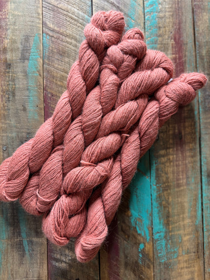 Sport Huacaya Suri Alpaca
