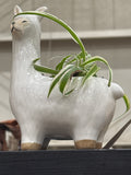 Alpaca Planter Spider Plant