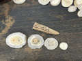 Deer Antler Buttons