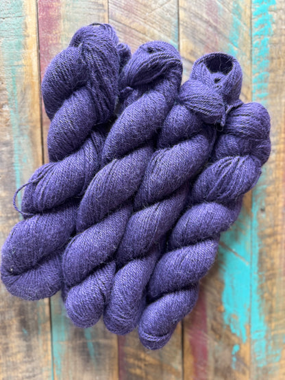 Sport Huacaya Suri Alpaca