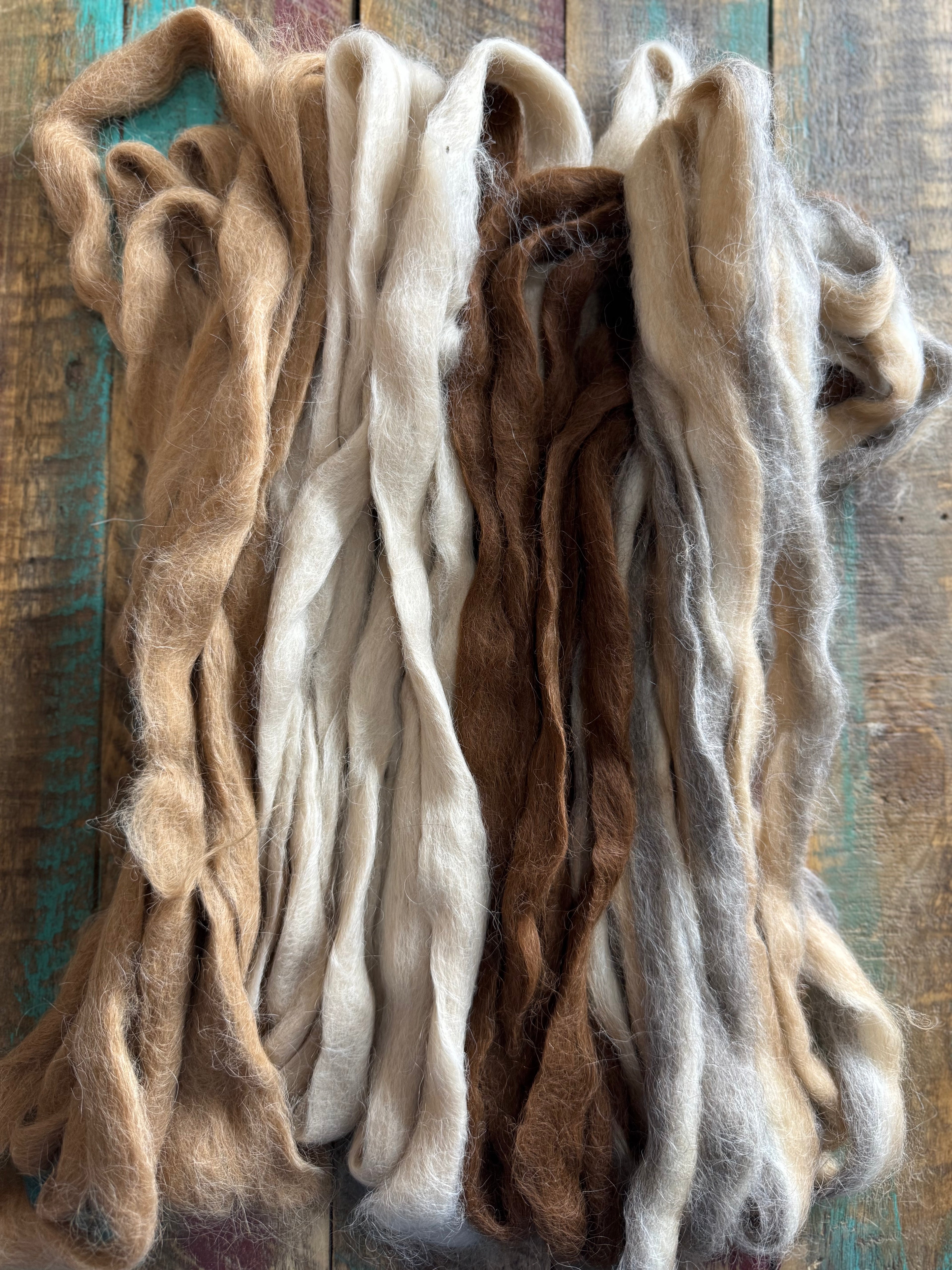 Suri Alpaca Roving-Assorted