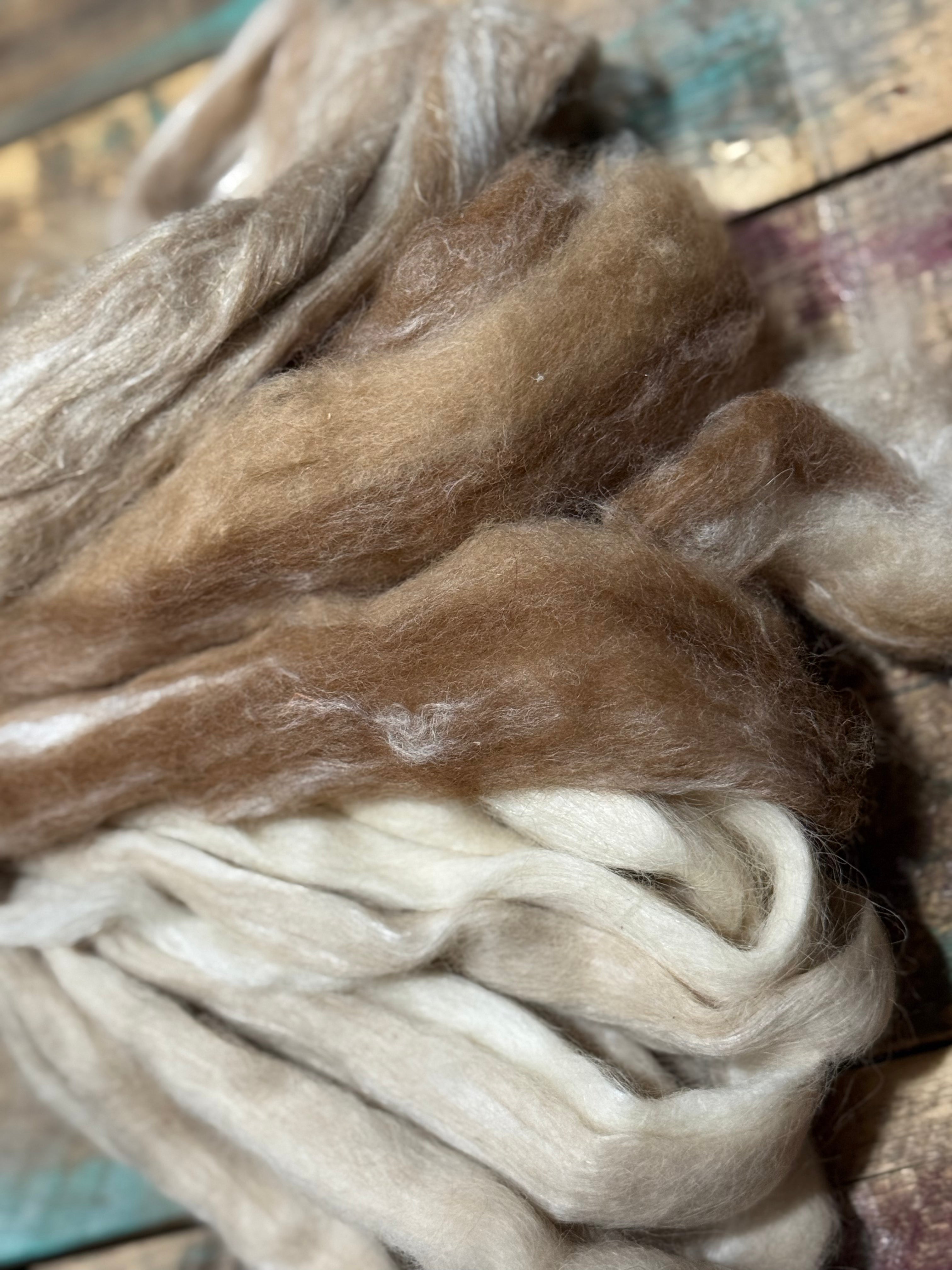 Suri Huacaya Assorted Blend Roving