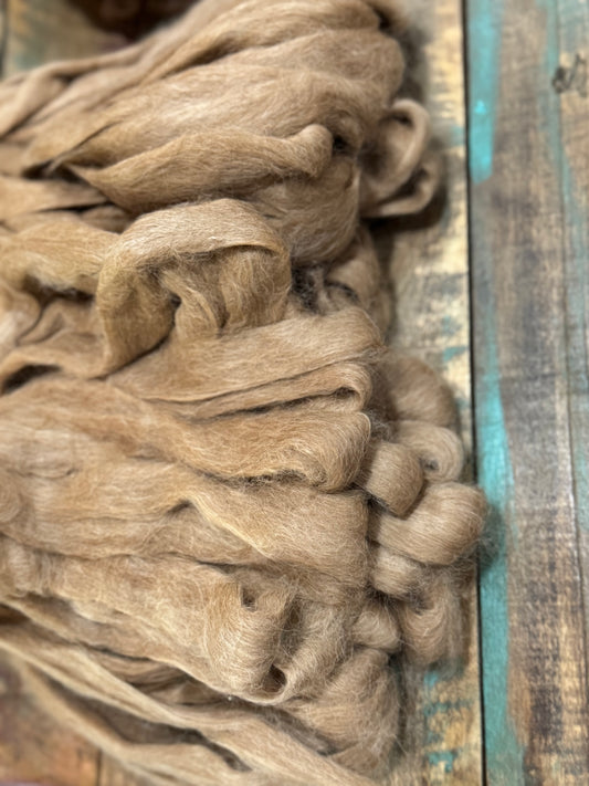 Suri Roving-Fawn Silvio