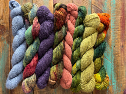 Sport Huacaya Suri Alpaca