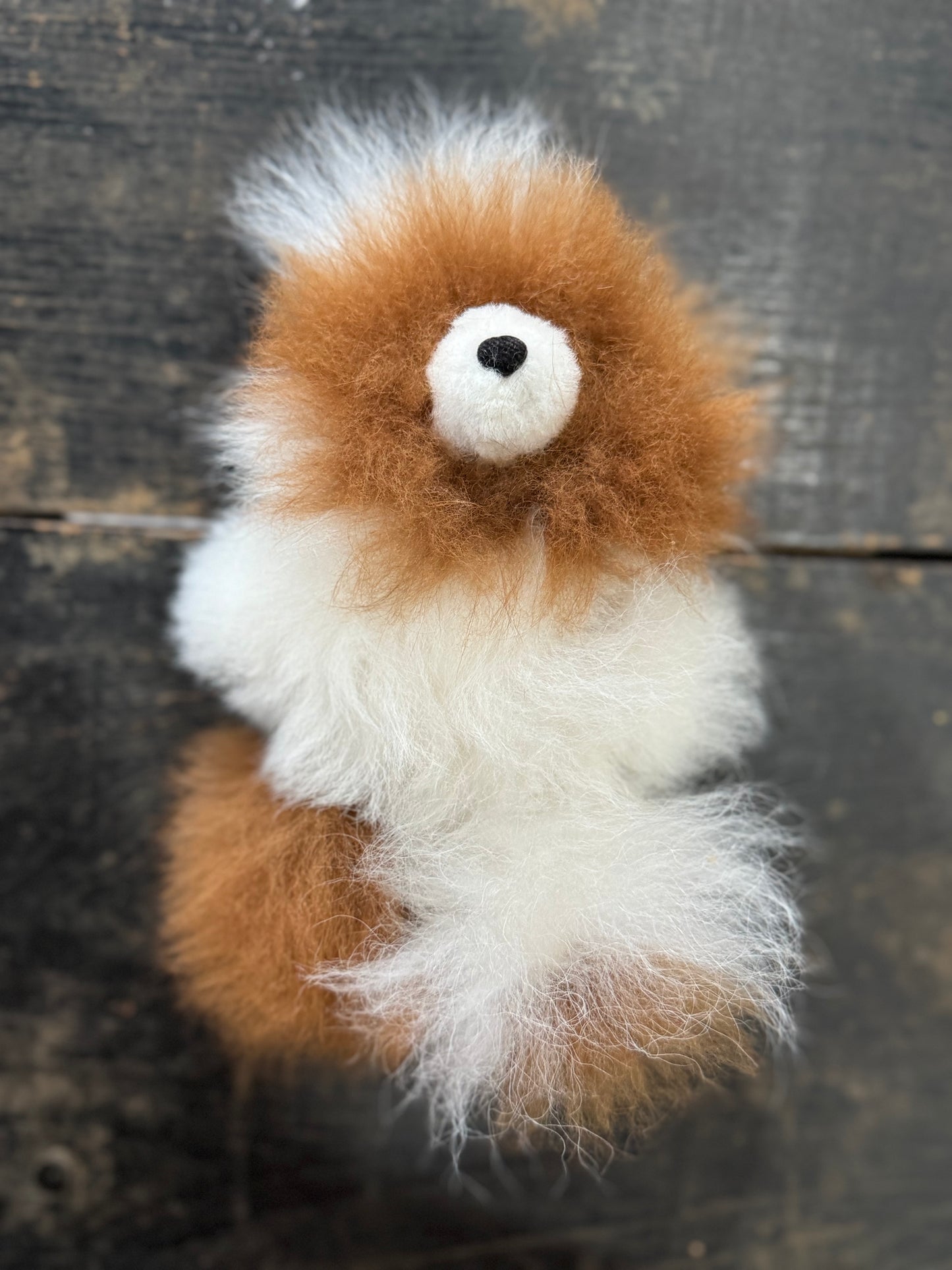 Bear 6”