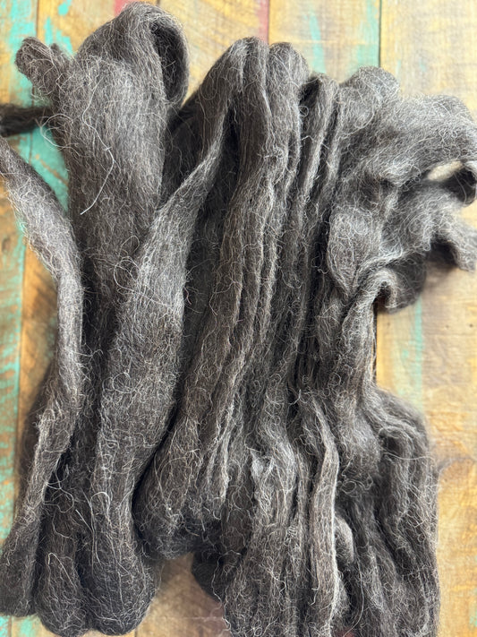 Huacaya Alpaca Roving-Einstein