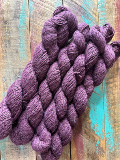 Sport Suri Merino