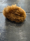 Tiny Guinea Pig