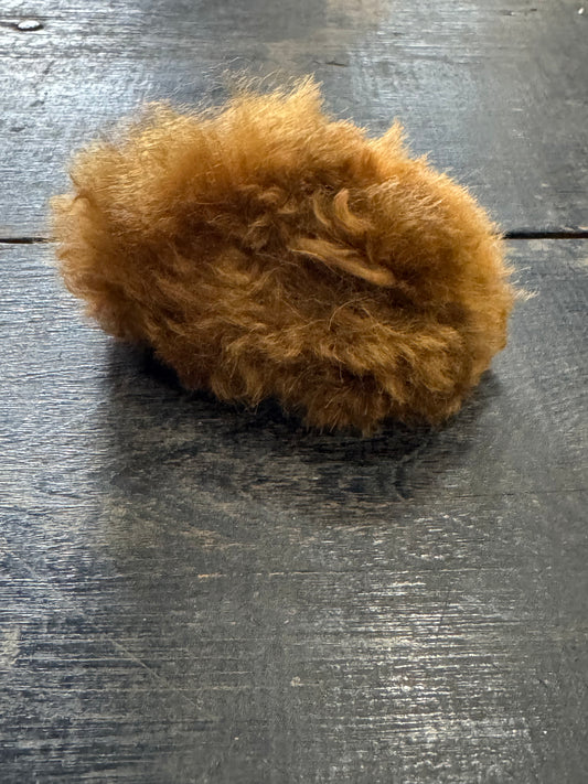 Tiny Guinea Pig