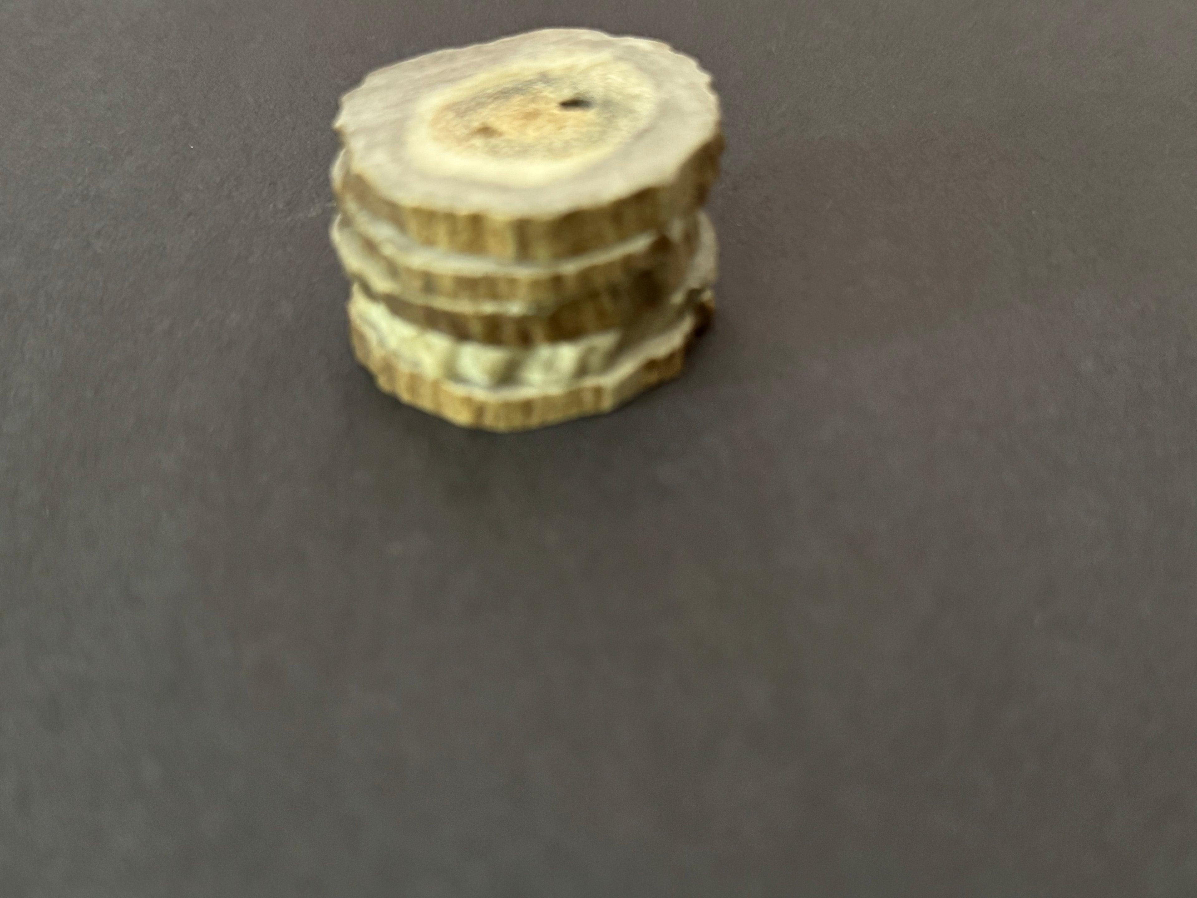 Deer Antler Buttons