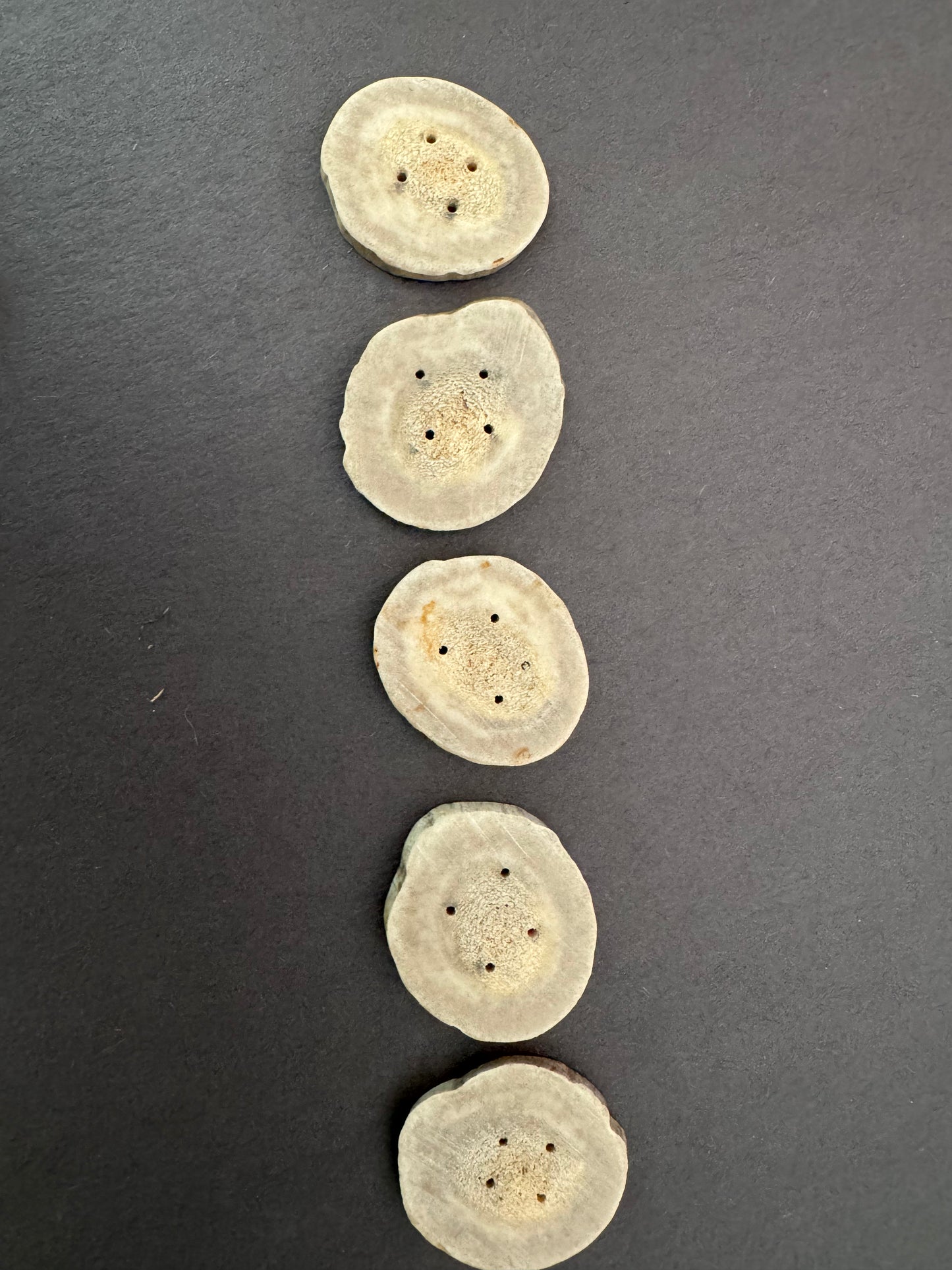 Deer Antler Buttons