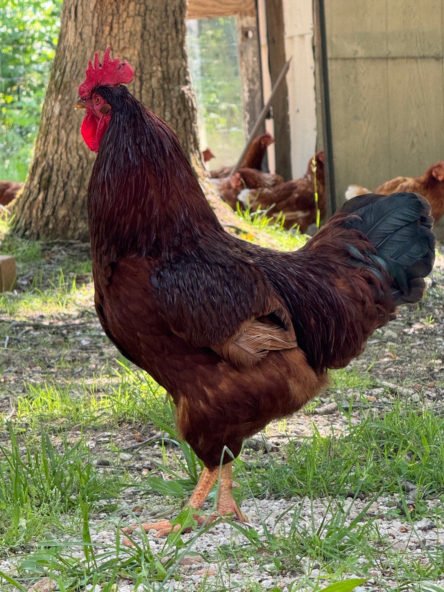 Agritourism